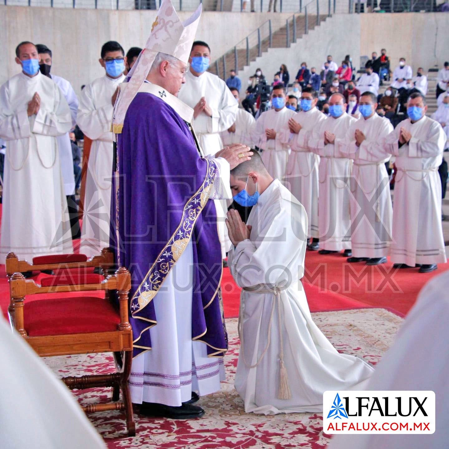 07 JHS Morado Alfalux Lateral Obispo GDL Ordenacion